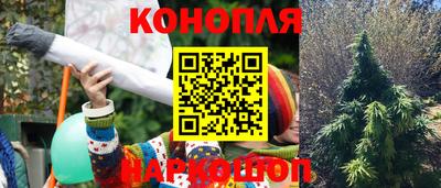 ГАЛЛЮЦИНОГЕННЫЕ ГРИБЫ Тулун