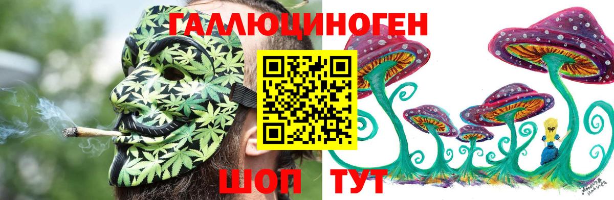 Псилоцибиновые грибы Cubensis  Галлюциногенные грибы прущие грибы  Острогожск  Вход с VPN 